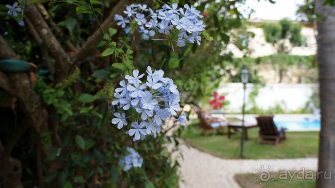 Португалия, отдых и путешествие на машине. 2013, часть 2. рассказ, фото, видео.