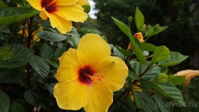 Португалия, отдых и путешествие на машине. 2013, часть 2. рассказ, фото, видео.