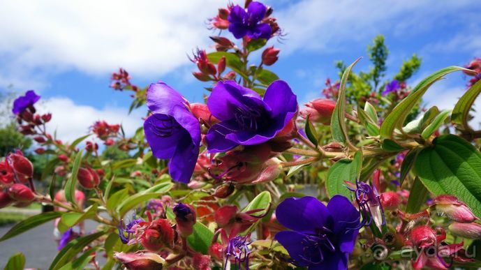 Португалия, отдых и путешествие на машине. 2013, часть 2. рассказ, фото, видео.