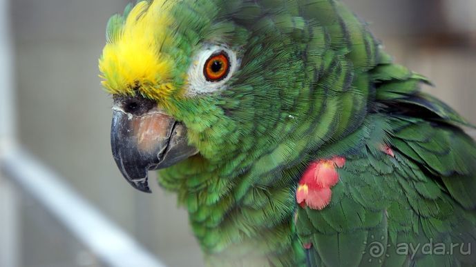 Португалия, отдых и путешествие на машине. 2013, часть 2. рассказ, фото, видео.