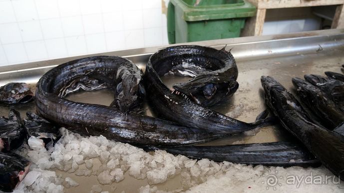 Португалия, отдых и путешествие на машине. 2013, часть 2. рассказ, фото, видео.