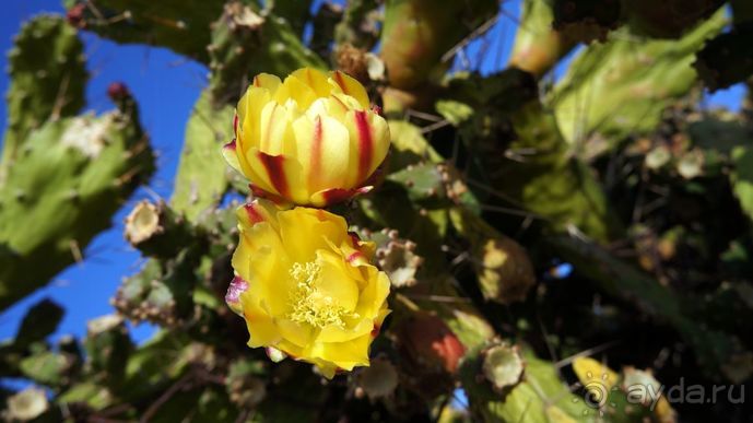 Португалия, отдых и путешествие на машине. 2013, часть 2. рассказ, фото, видео.