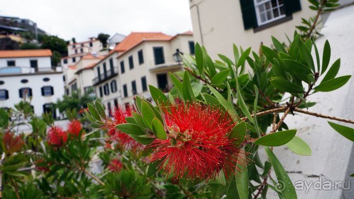 Португалия, отдых и путешествие на машине. 2013, часть 2. рассказ, фото, видео.