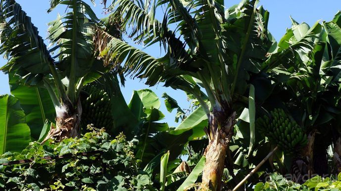 Португалия, отдых и путешествие на машине. 2013, часть 2. рассказ, фото, видео.