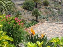 Всё, что нужно увидеть на Тенерифе(ну почти всё)... рассказ, фото, видео...