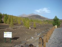 Всё, что нужно увидеть на Тенерифе(ну почти всё)... рассказ, фото, видео...