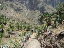 Всё, что нужно увидеть на Тенерифе(ну почти всё)... рассказ, фото, видео...