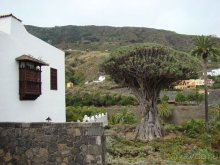 Всё, что нужно увидеть на Тенерифе(ну почти всё)... рассказ, фото, видео...