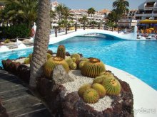 Всё, что нужно увидеть на Тенерифе(ну почти всё)... рассказ, фото, видео...