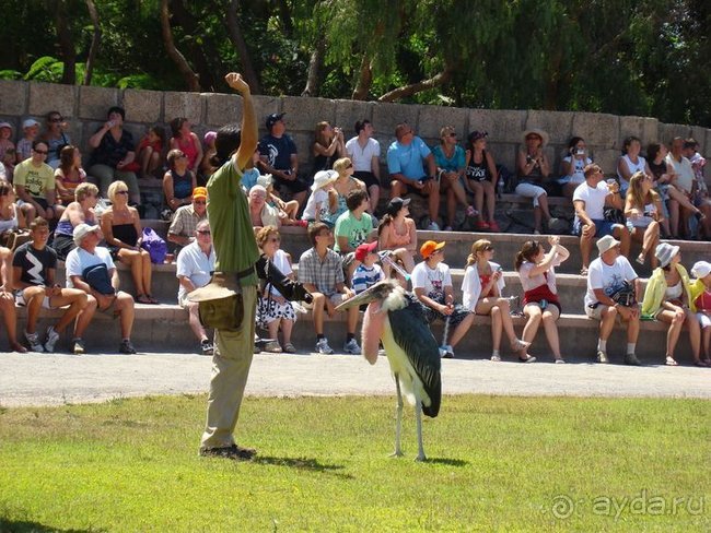 Всё, что нужно увидеть на Тенерифе(ну почти всё)... рассказ, фото, видео...