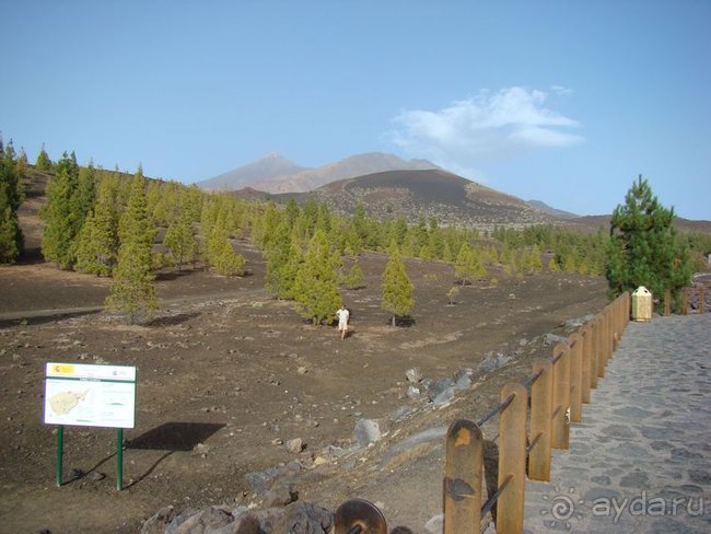 Всё, что нужно увидеть на Тенерифе(ну почти всё)... рассказ, фото, видео...