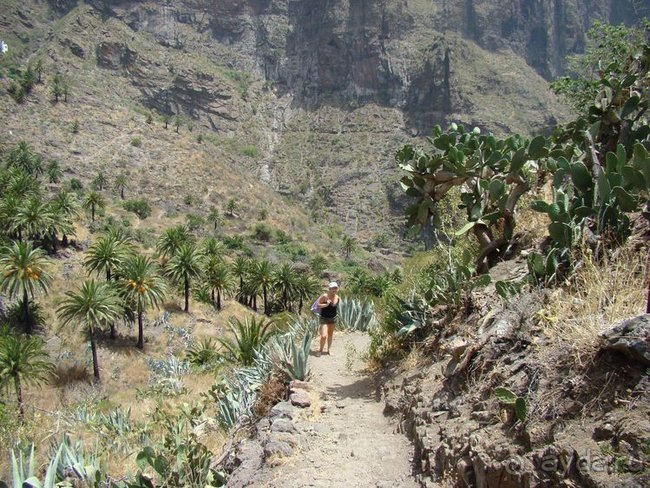 Всё, что нужно увидеть на Тенерифе(ну почти всё)... рассказ, фото, видео...