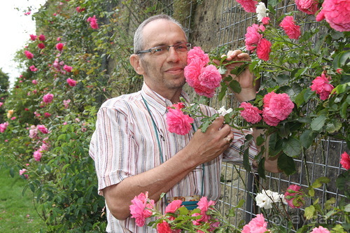 Бад и Бург Бентхайм Бад и Бург Бентхайм