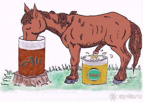 ЦОНС - крепость-таможня