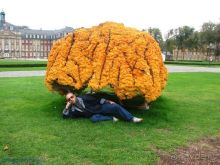 Mюнстер - столица мюнстерланда