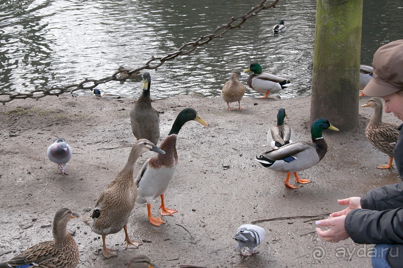 3 недели в Нижней Саксонии. Часть 2