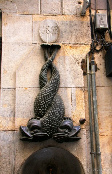 Жeрона, львица и мухи