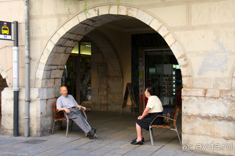 Жeрона, львица и мухи