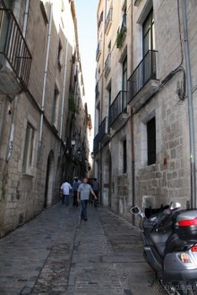 Жeрона, львица и мухи