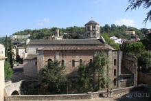 Жeрона, львица и мухи