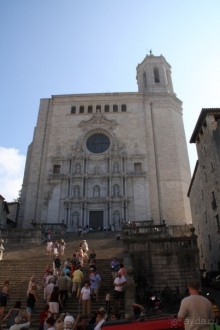 Жeрона, львица и мухи