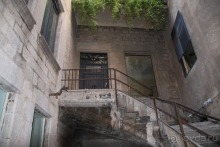 Жeрона, львица и мухи