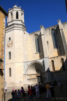 Жeрона, львица и мухи