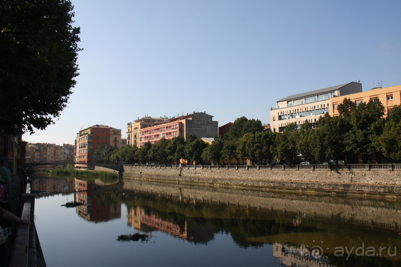 Жeрона, львица и мухи