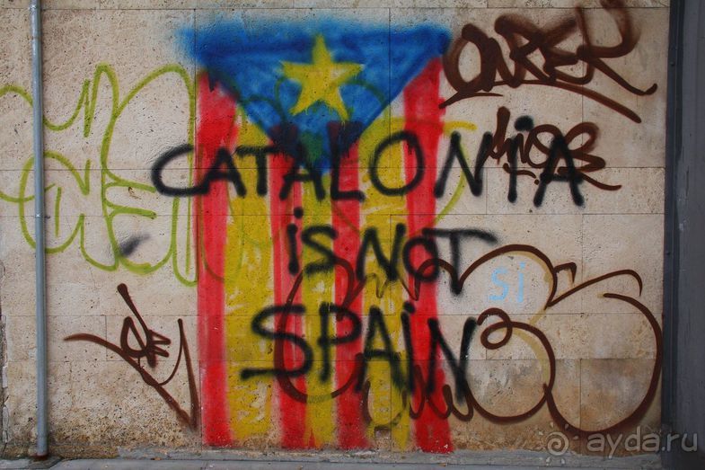 Жeрона, львица и мухи