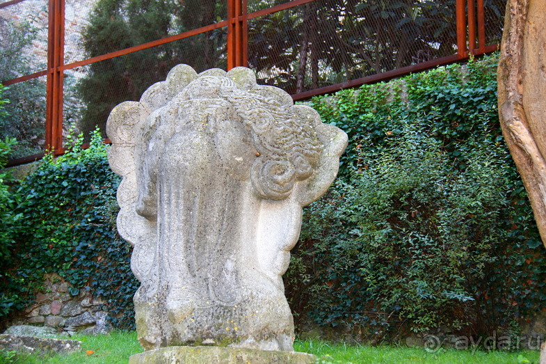 Жeрона, львица и мухи