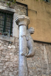 Жeрона, львица и мухи