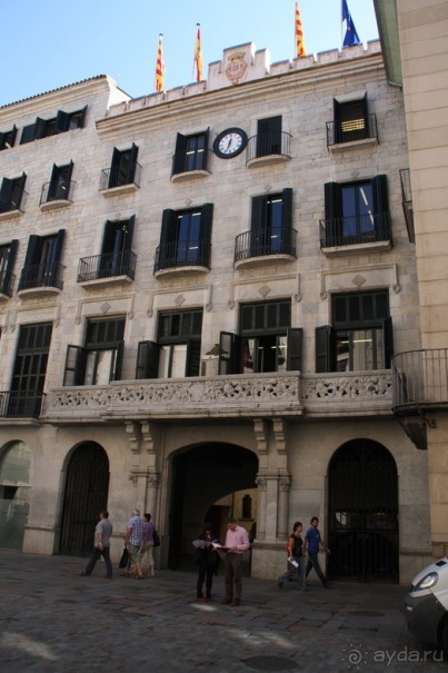 Жeрона, львица и мухи