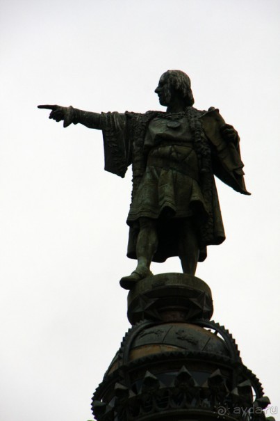 Жeрона, львица и мухи