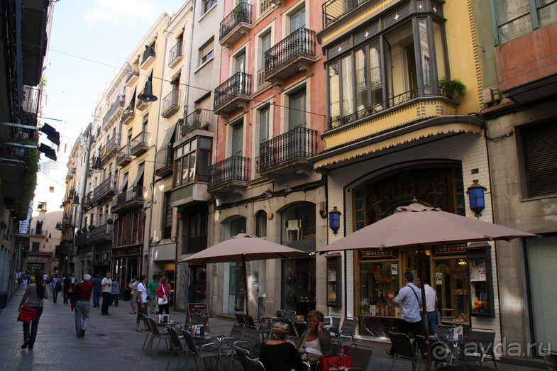 Жeрона, львица и мухи