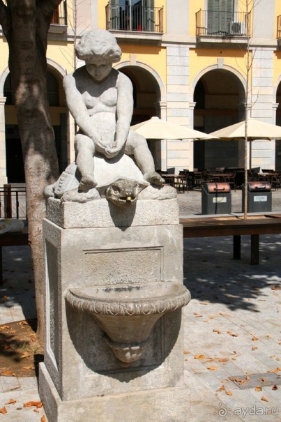 Жeрона, львица и мухи