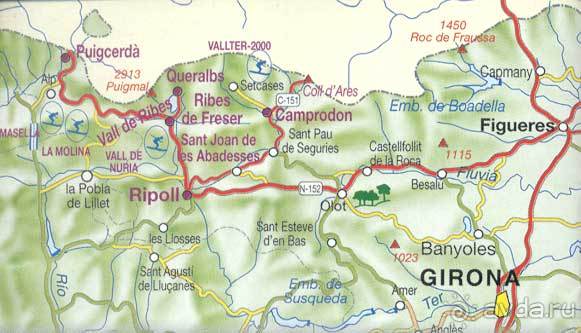 Жeрона, львица и мухи