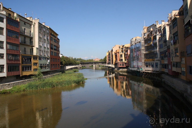 Жeрона, львица и мухи