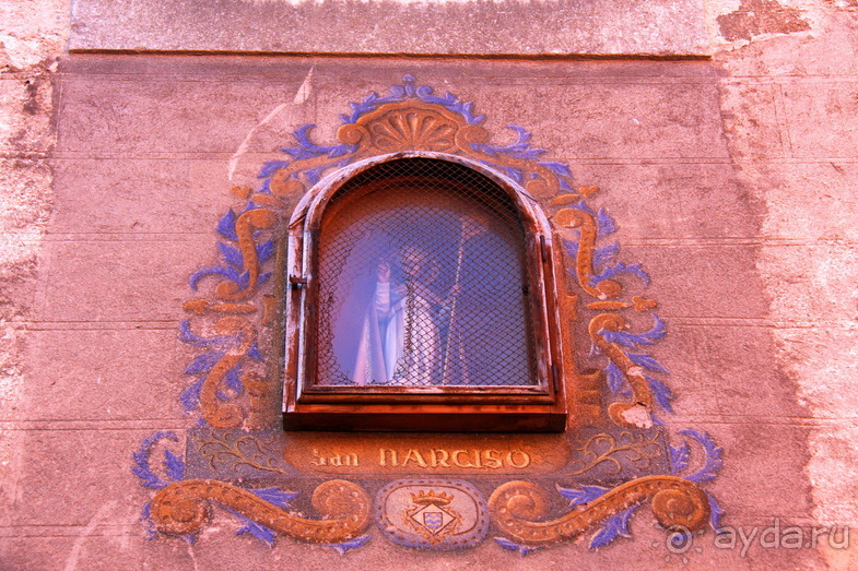 Жeрона, львица и мухи