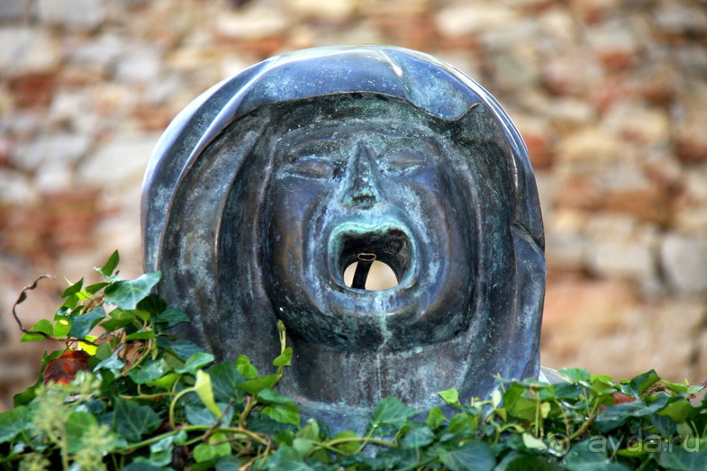 Жeрона, львица и мухи