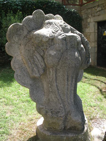 Жeрона, львица и мухи