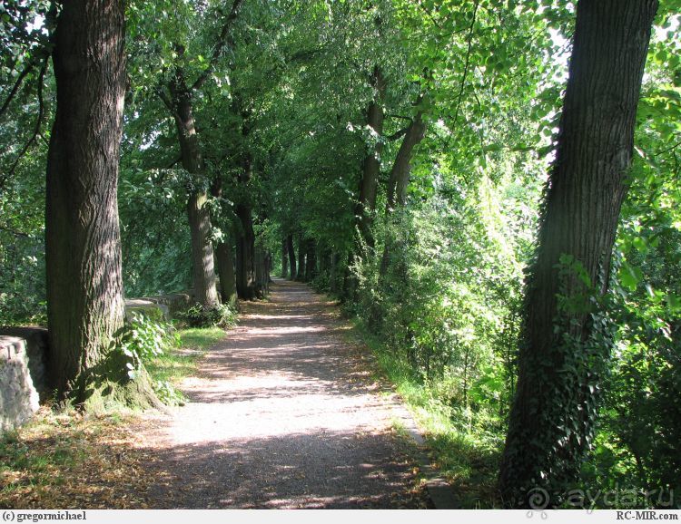 Зоест. Мал да удал