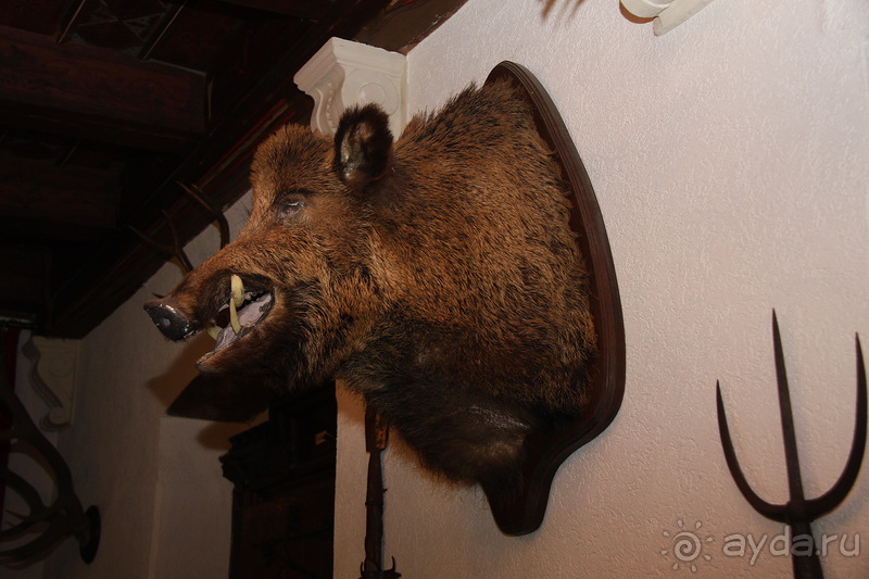 Имперский замок(REICHSBURG) в Кохеме на Мозеле