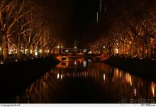 Дюссельдорфские витражи. БЕРГСКИЙ ЛЕВ на KO