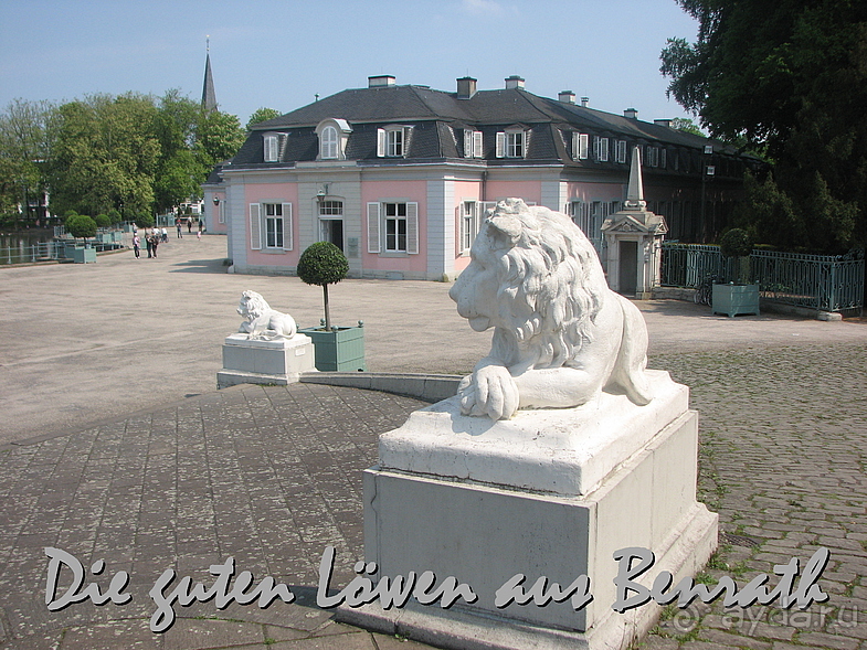 Дюссельдорфские витражи. БЕРГСКИЙ ЛЕВ на KO