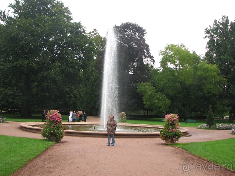 Альбом отзыва "Фульда город невест"
