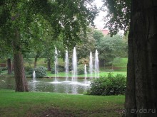 Альбом отзыва "Фульда город невест"