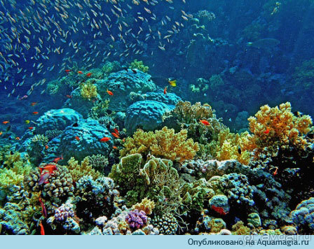 Венчание в пещере