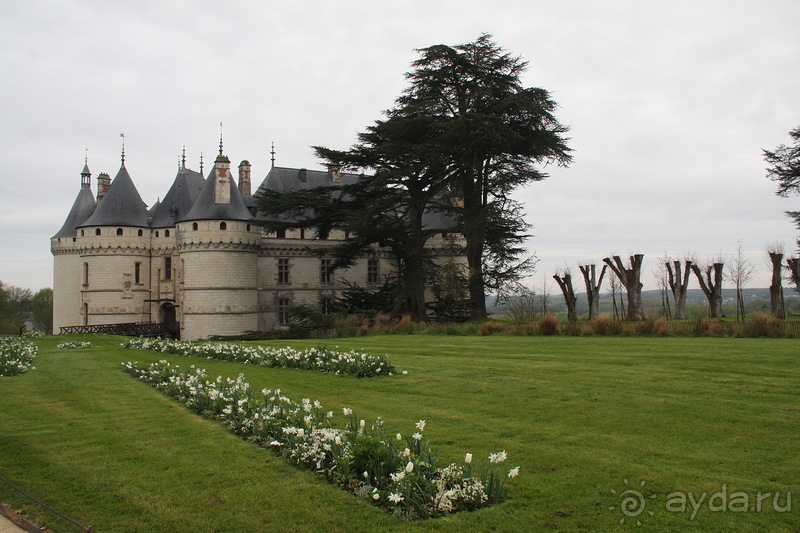 Замки долины Луары и не только. Часть 1