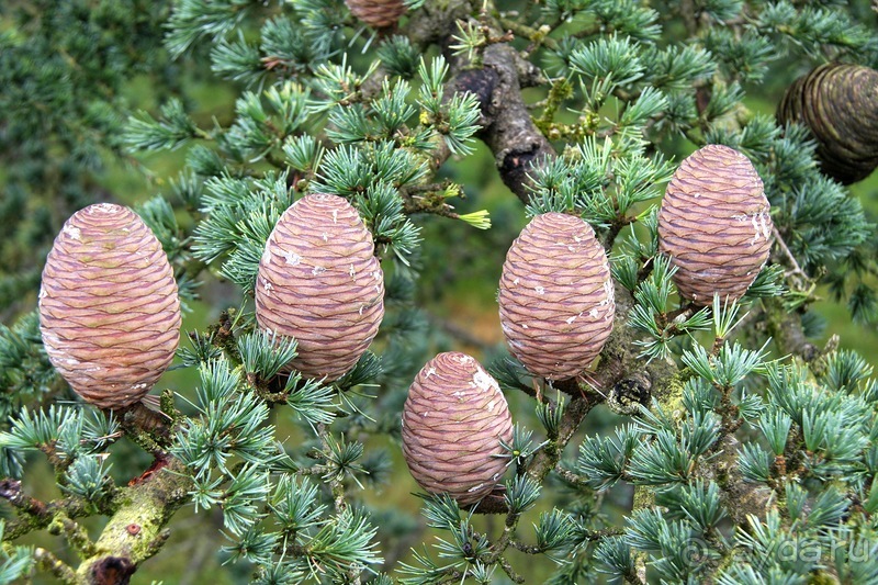 Замки долины Луары и не только. Часть 1