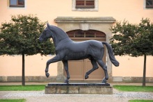 Замок Морицбург под Дрезденом